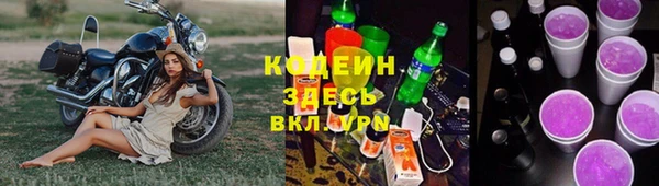 Альфа ПВП Бородино