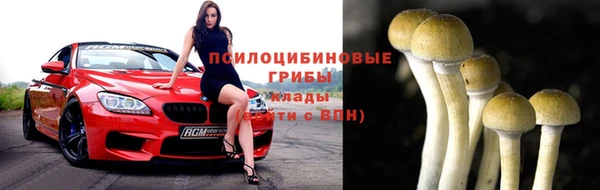 стаф Покров