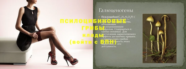 Альфа ПВП Бородино