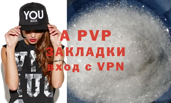 спиды Белокуриха