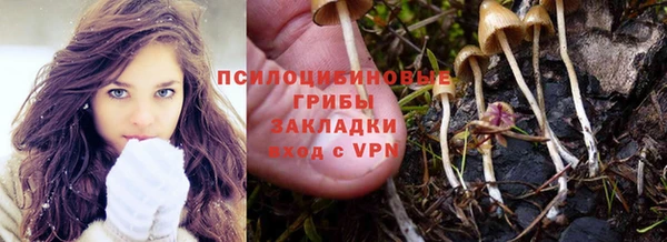бошки Бугульма