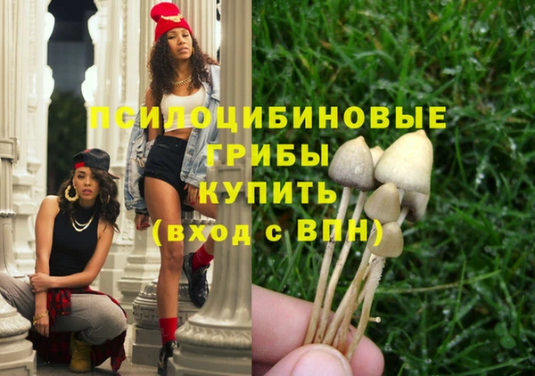 бошки Бугульма