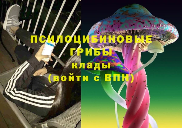 соль ск Верея